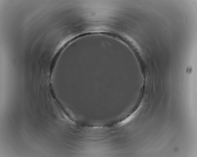 X0000091211457200708091338