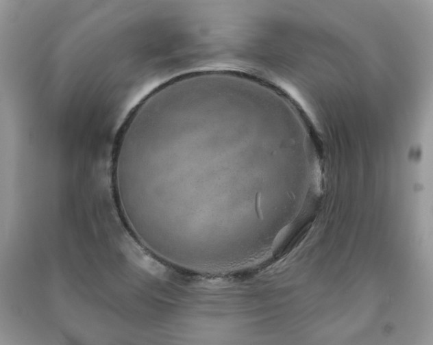 X0000091211460200708091337