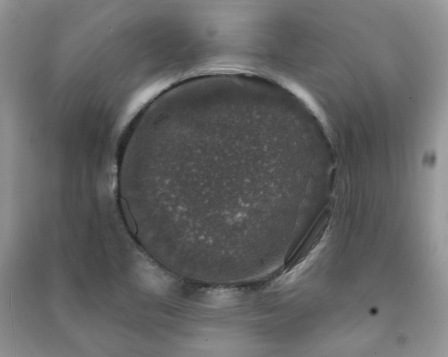 X0000091211461200708091337