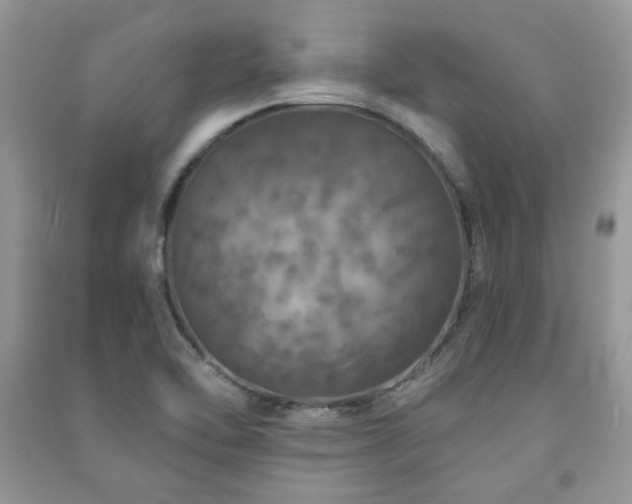 X0000091211462200708091337