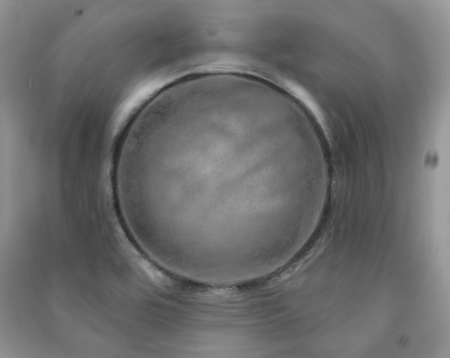 X0000091211464200708091337