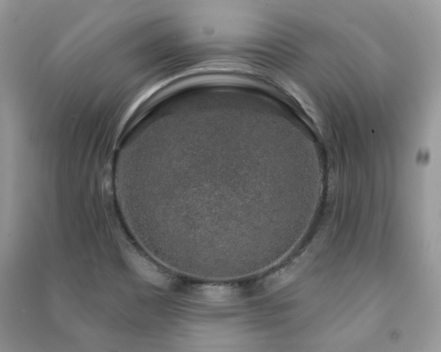 X0000091211465200708091337