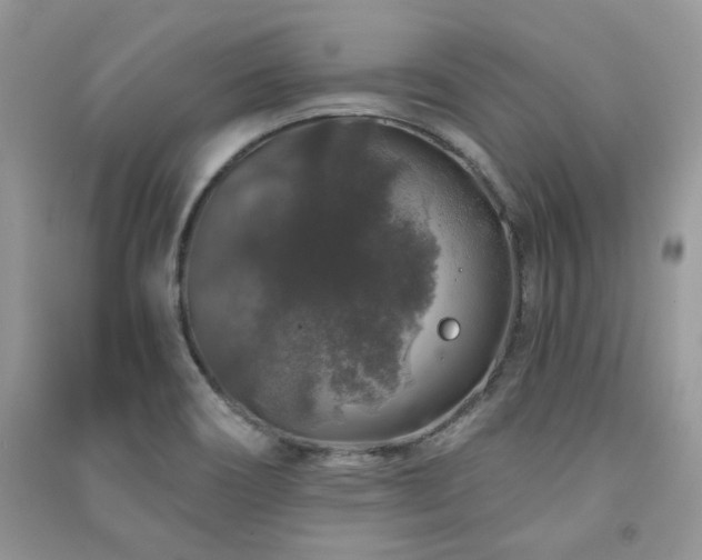 X0000091211466200708091337