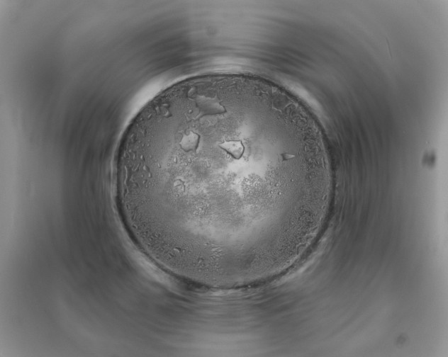 X0000091211467200708091337