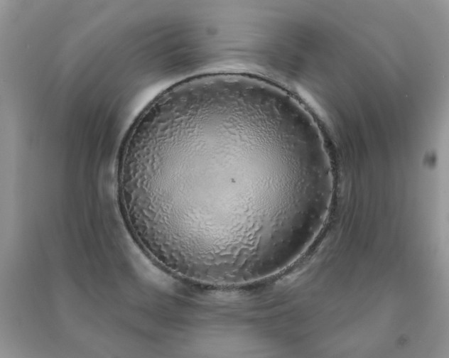 X0000091211468200708091337