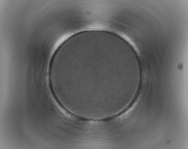 X0000091211469200708091337