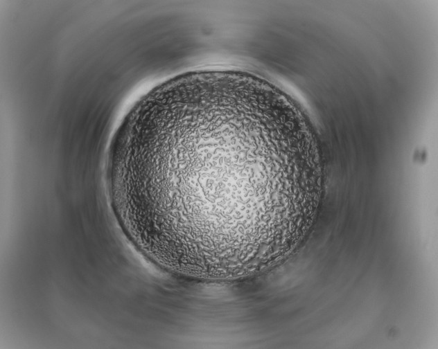 X0000091211472200708091337