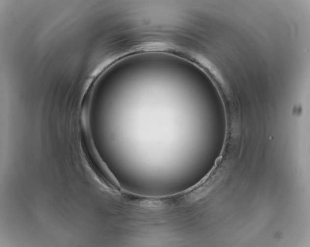 X0000091211473200708091337