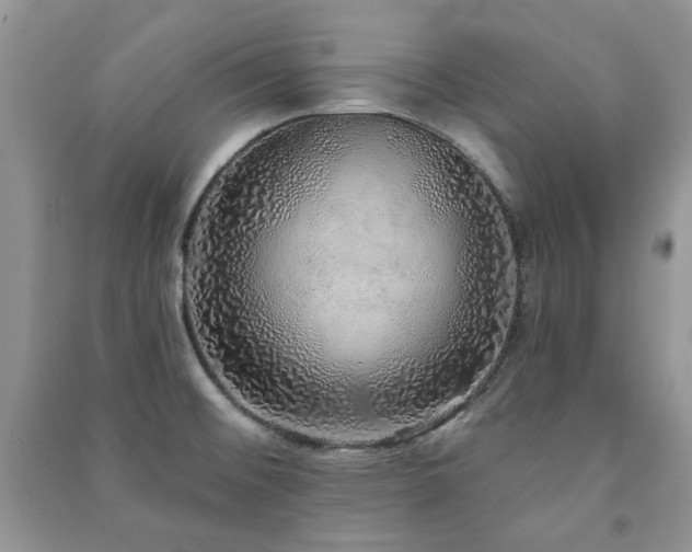 X0000091211476200708091337