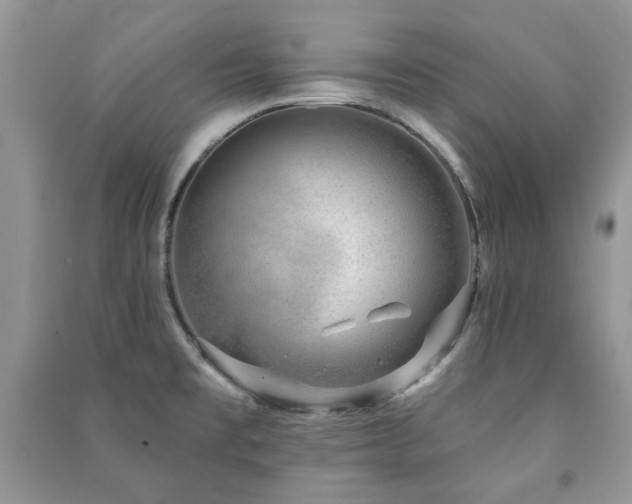 X0000091211477200708091337