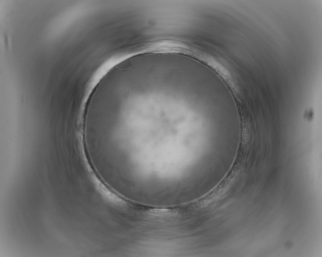 X0000091211478200708091337