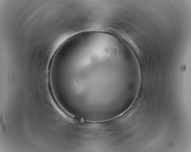 X0000091211479200708091337