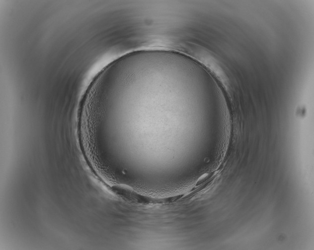 X0000091211480200708091337