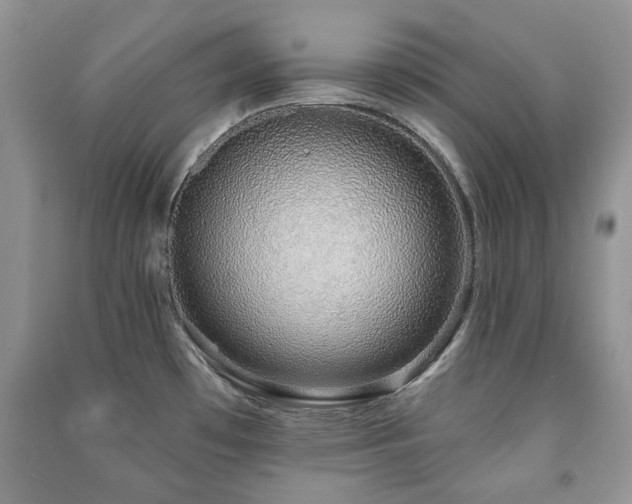 X0000091211481200708091337
