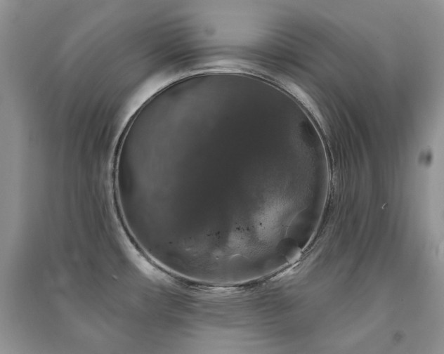 X0000091211482200708091337