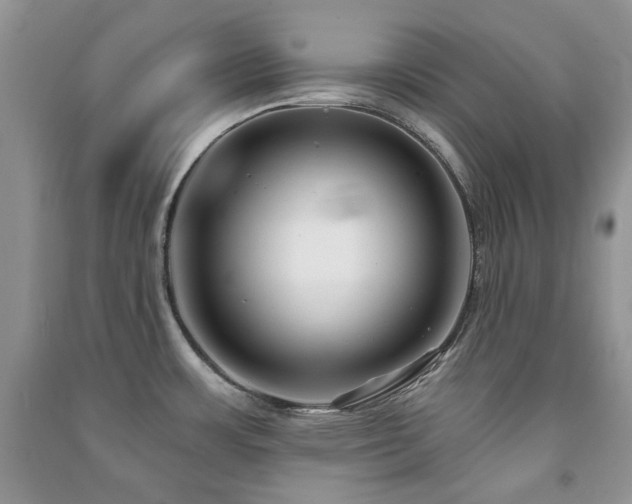 X0000091211483200708091337