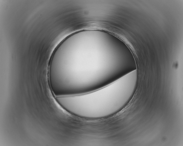 X0000091211484200708091337