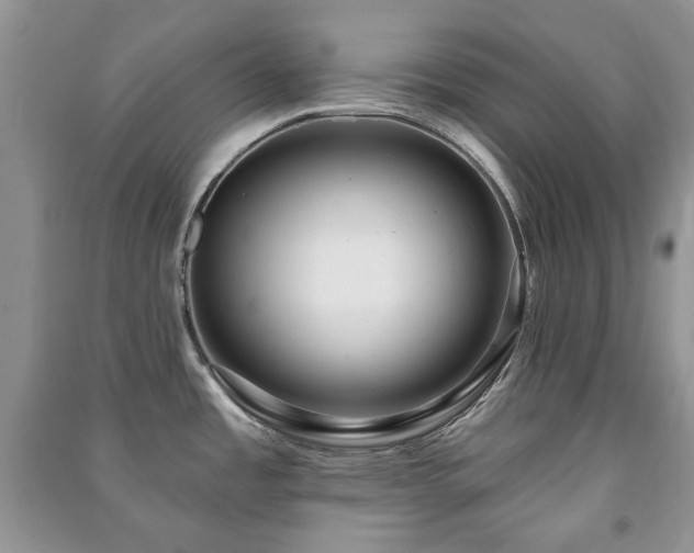 X0000091211485200708091337