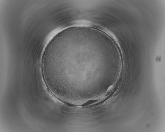 X0000091211488200708091337