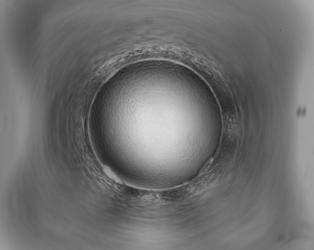 X0000091211489200708091337