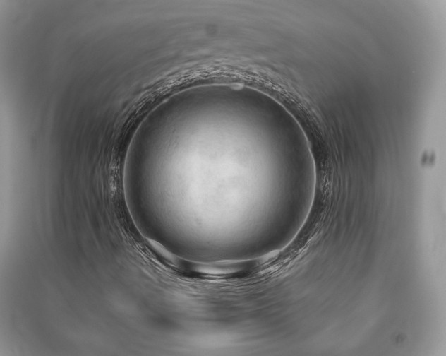 X0000091211490200708091337