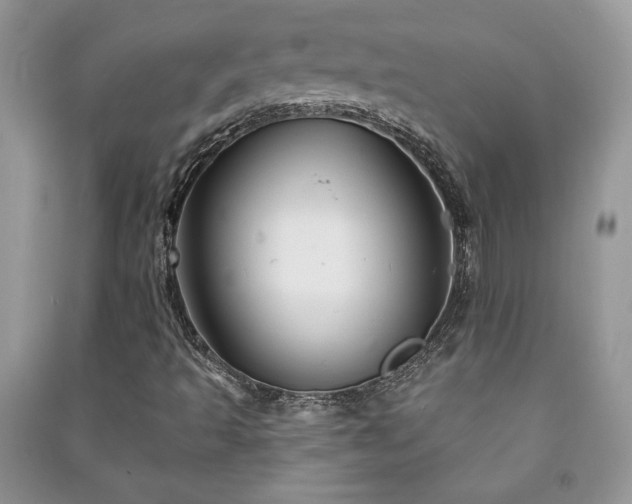 X0000091211493200708091337