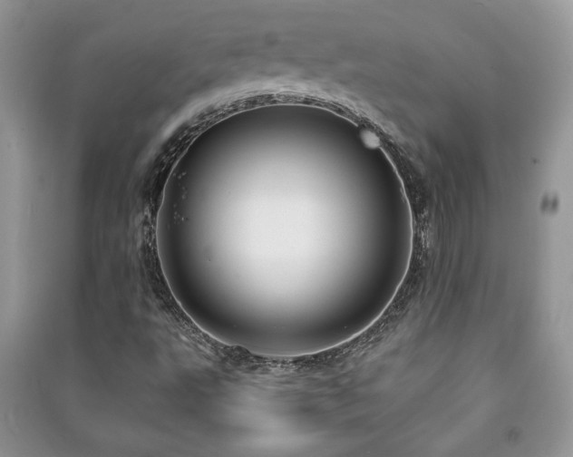 X0000091211495200708091337