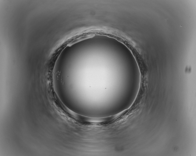 X0000091211496200708091337