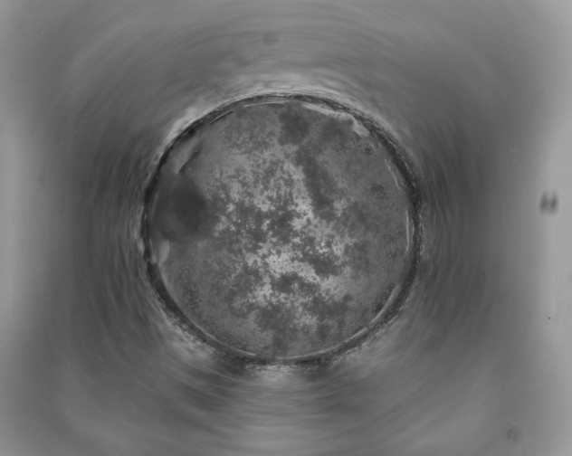 X0000091211497200708091337