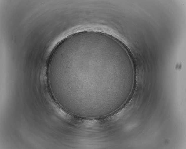 X0000091211498200708091337