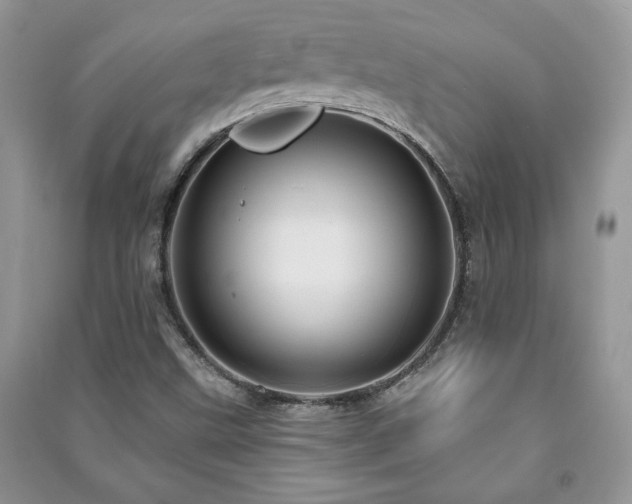 X0000091211499200708091337