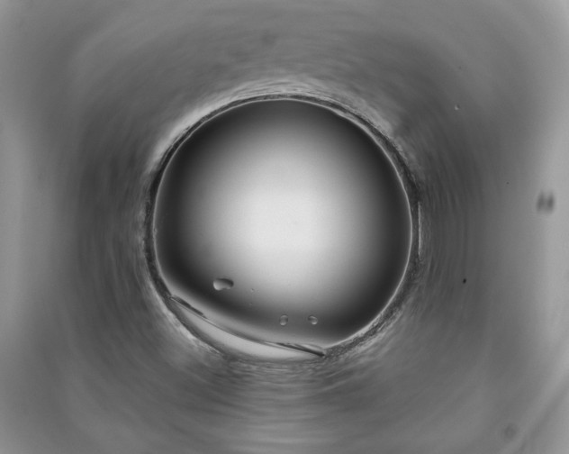 X0000091211500200708091337