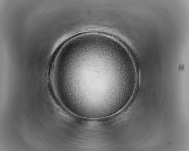 X0000091211501200708091337