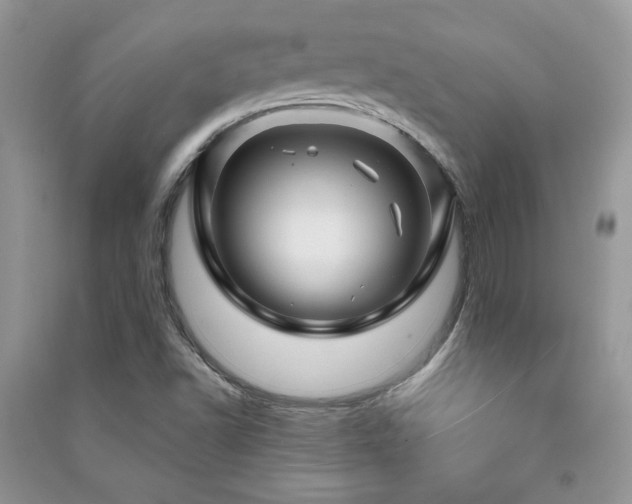 X0000091211502200708091337
