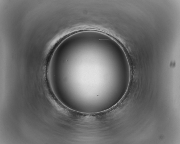 X0000091211503200708091337