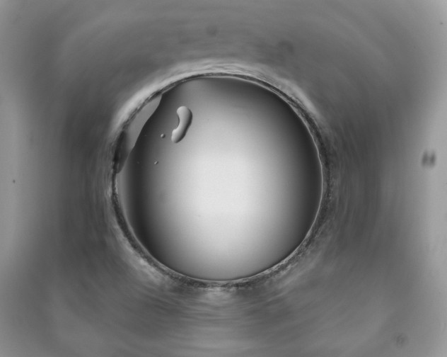 X0000091211504200708091337