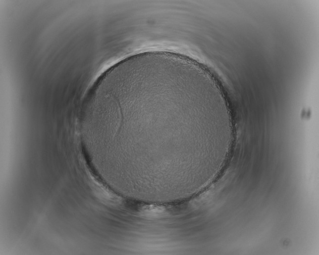 X0000091211505200708091337