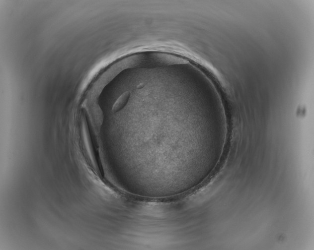X0000091211506200708091337