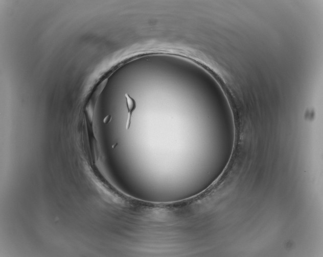 X0000091211507200708091337
