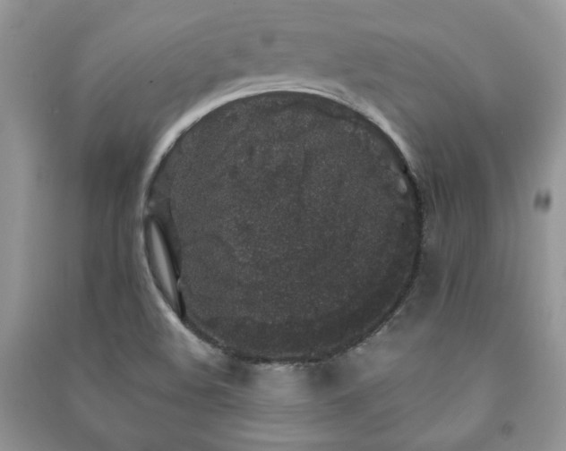 X0000091211508200708091337