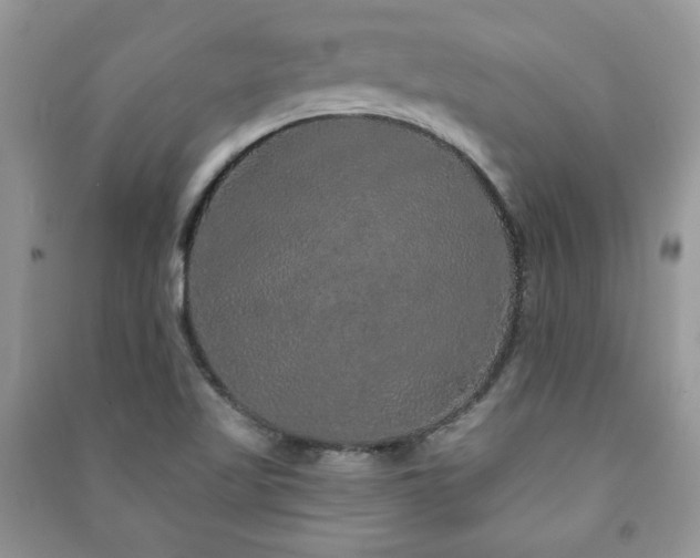 X0000091211509200708091337