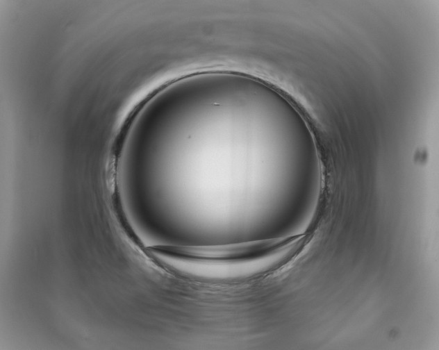 X0000091211510200708091337
