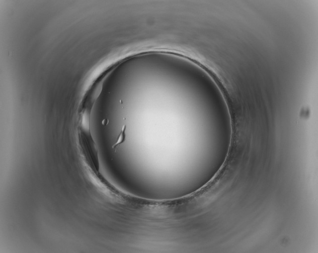 X0000091211511200708091337
