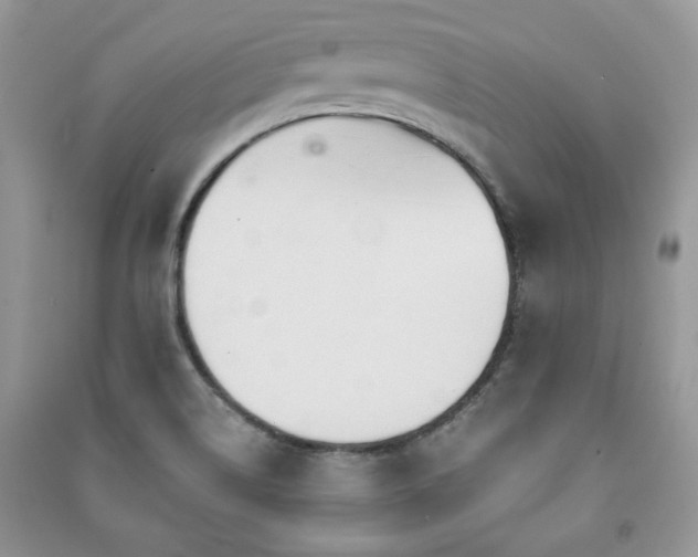 X0000091211514200708091337