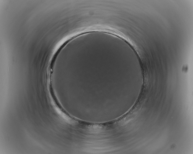 X0000091211515200708091337