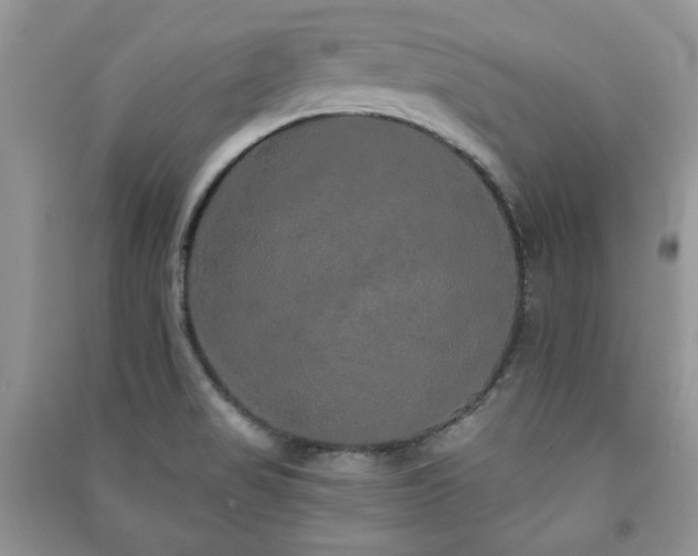 X0000091211517200708091337