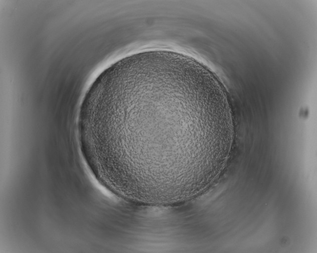 X0000091211519200708091337