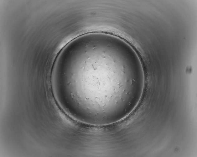 X0000091211521200708091337