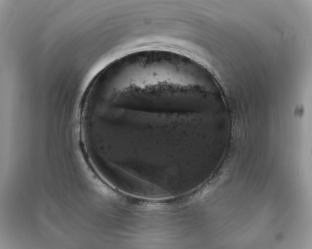 X0000091211522200708091337