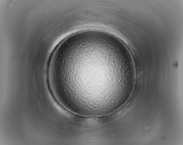 X0000091211523200708091337